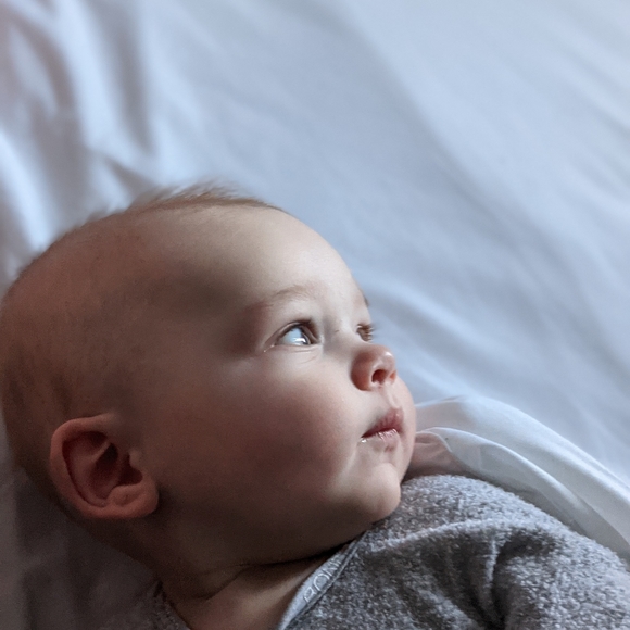 Meet your Posher, Robin - Picture 1 of 1